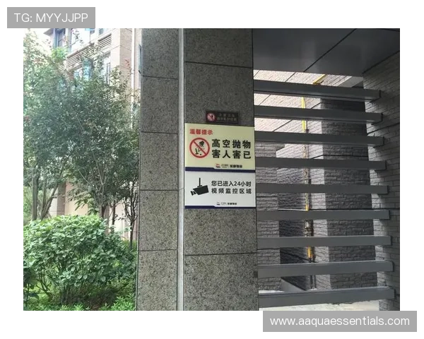 尊龙d88官网地址官方入口查询，快速找到最安全的登录通道