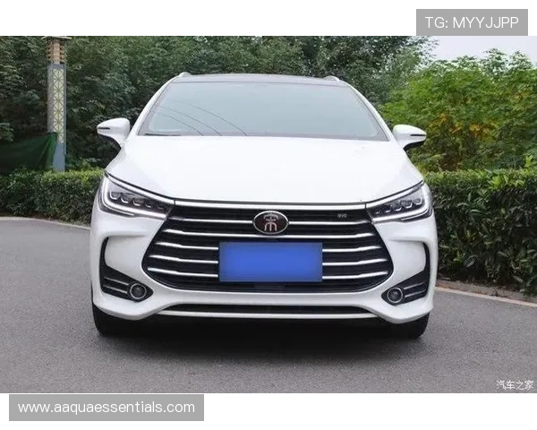 尊龙z6售后服务体系,专业团队为您的爱车保驾护航,安心无忧 尊龙z6售后服务体系,专业团队为您的爱车保驾护航,安心无忧