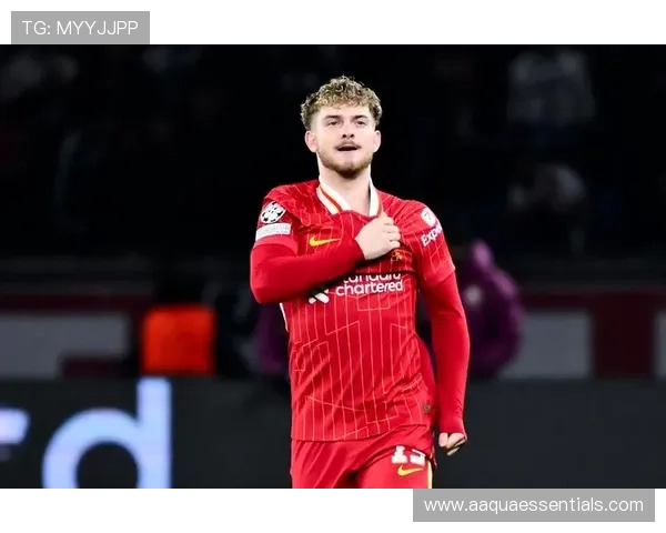 Z6尊龙世界杯下注:分析不同国家队表现,制定个性化投注策略提升胜算 Z6尊龙世界杯下注:分析不同国家队表现,制定个性化投注策略提升胜算