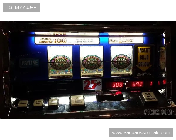 凯时z6官网游戏种类全面介绍,涵盖经典老虎机、真人娱乐与体育赛事投注 凯时z6官网游戏种类全面介绍,涵盖经典老虎机、真人娱乐与体育赛事投注