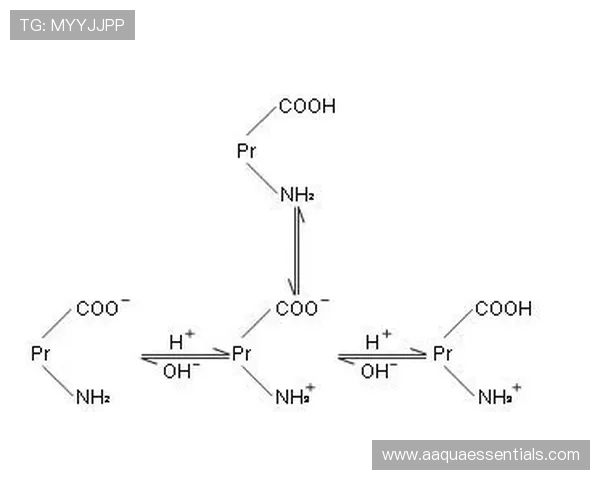 如何利用尊龙凯时质谱系统实现高精度蛋白质分析与数据解读
