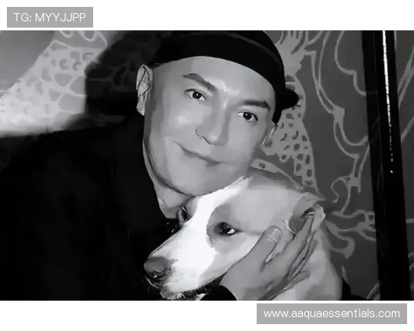 尊龙下载链接免费获取，支持多平台安装，助你轻松开启尊龙游戏之旅