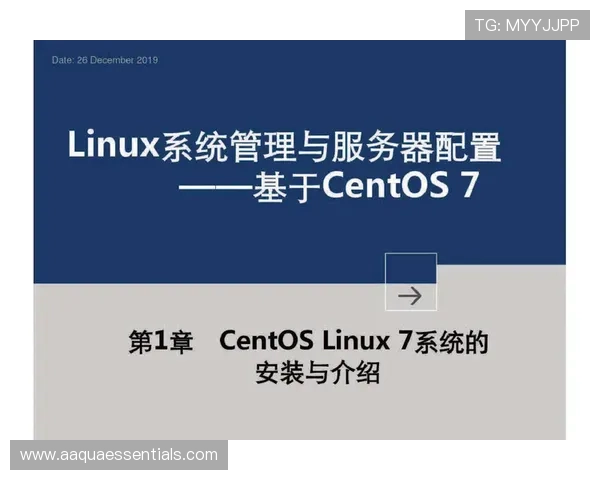 尊龙Z6中文站最新版本下载与安装教程详解