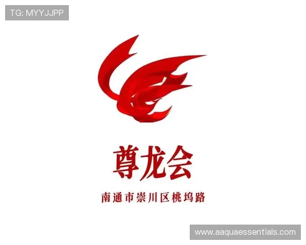 尊龙会官网会员登录入口网址官方入口地址，确保用户安全顺畅访问尊龙会会员中心