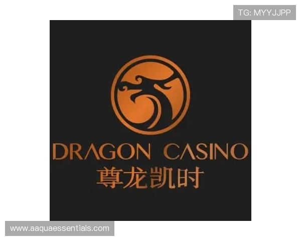 尊龙凯时app登录遇到问题怎么办？全面解决登录障碍的实用技巧与建议