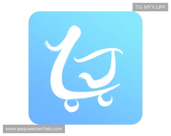 尊龙会官网首页登录入口网址官方最新入口地址，确保安全稳定登录体验