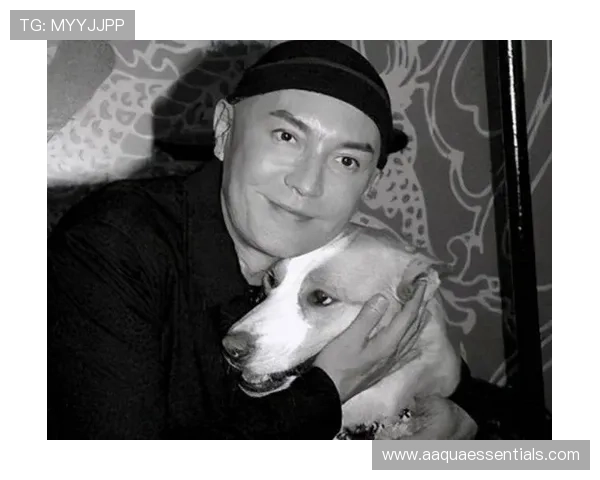 尊龙现金一下可靠送38元,平台信誉保障让你放心参与每一次游戏体验 尊龙现金一下可靠送38元,平台信誉保障让你放心参与每一次游戏体验