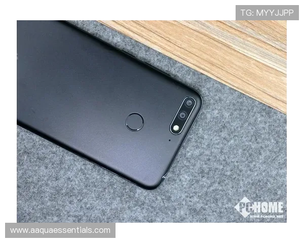 Z6尊龙旗舰厅登录线路最新安全稳定的登录入口推荐，确保玩家畅享无忧游戏体验