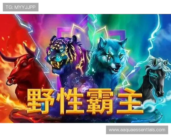 尊龙凯时中国游戏玩法攻略大全，提升您的游戏技巧与娱乐体验