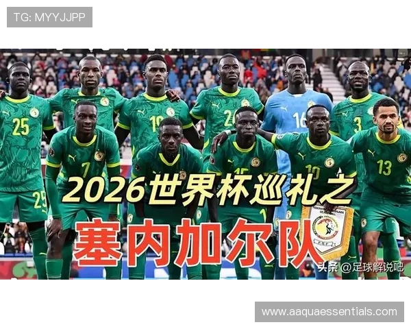 世界杯法国VS塞内加尔比赛精彩进球集锦完整版，带你回顾每个精彩瞬间